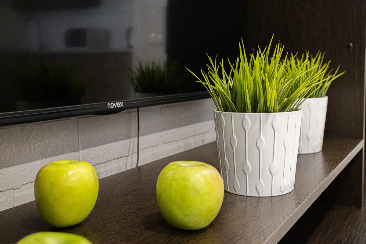 Уютная студия с видом на город