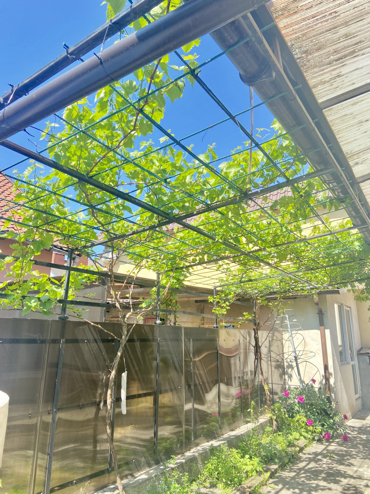 Апартаменты Сад у Моря