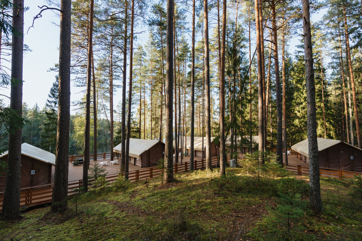 Глэмпинг Террасы