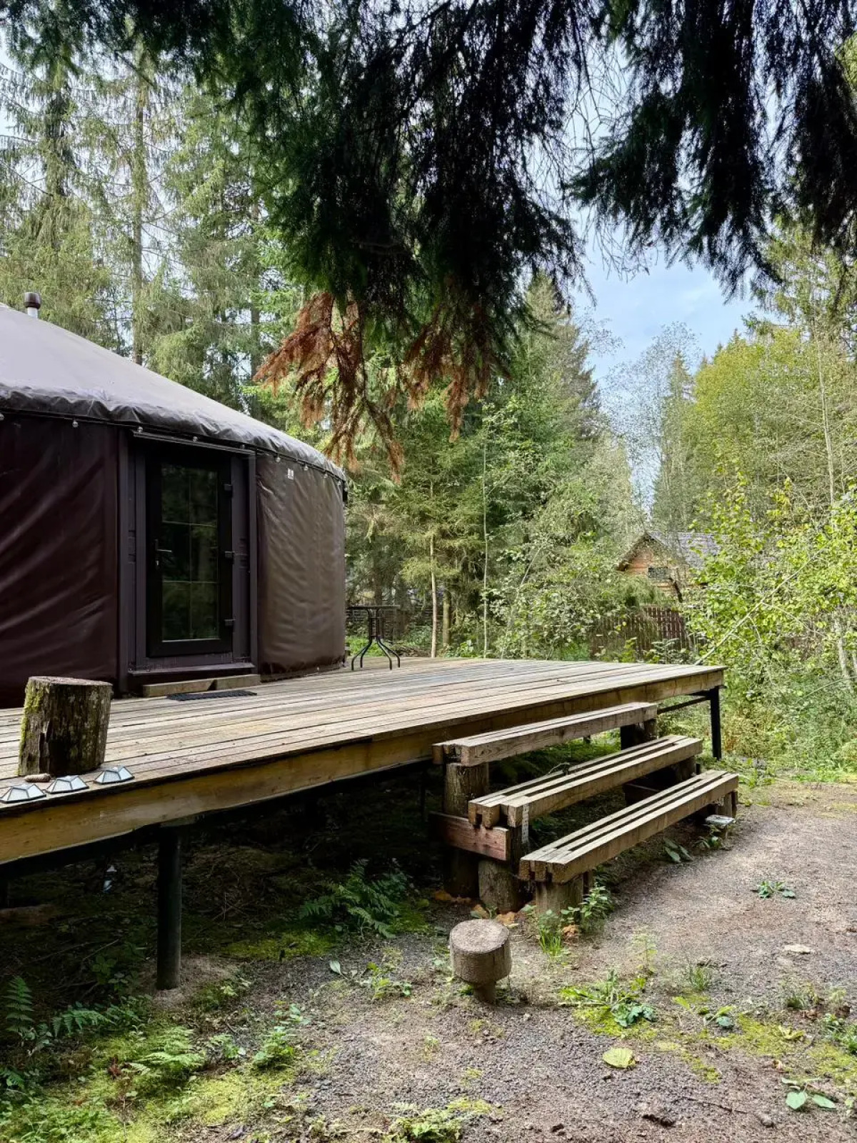 Частный дом Юрта среди сосен