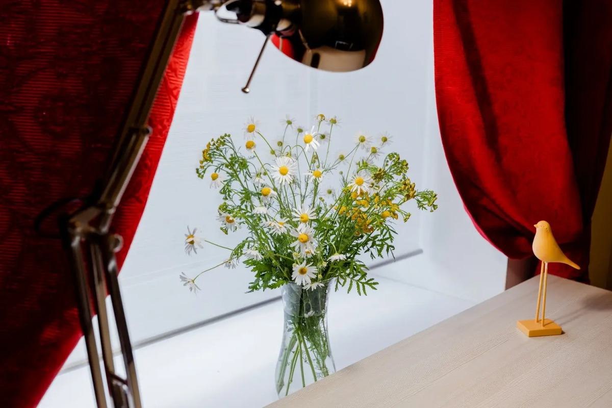 Апартаменты Двухкомнатные на Чапаева 19