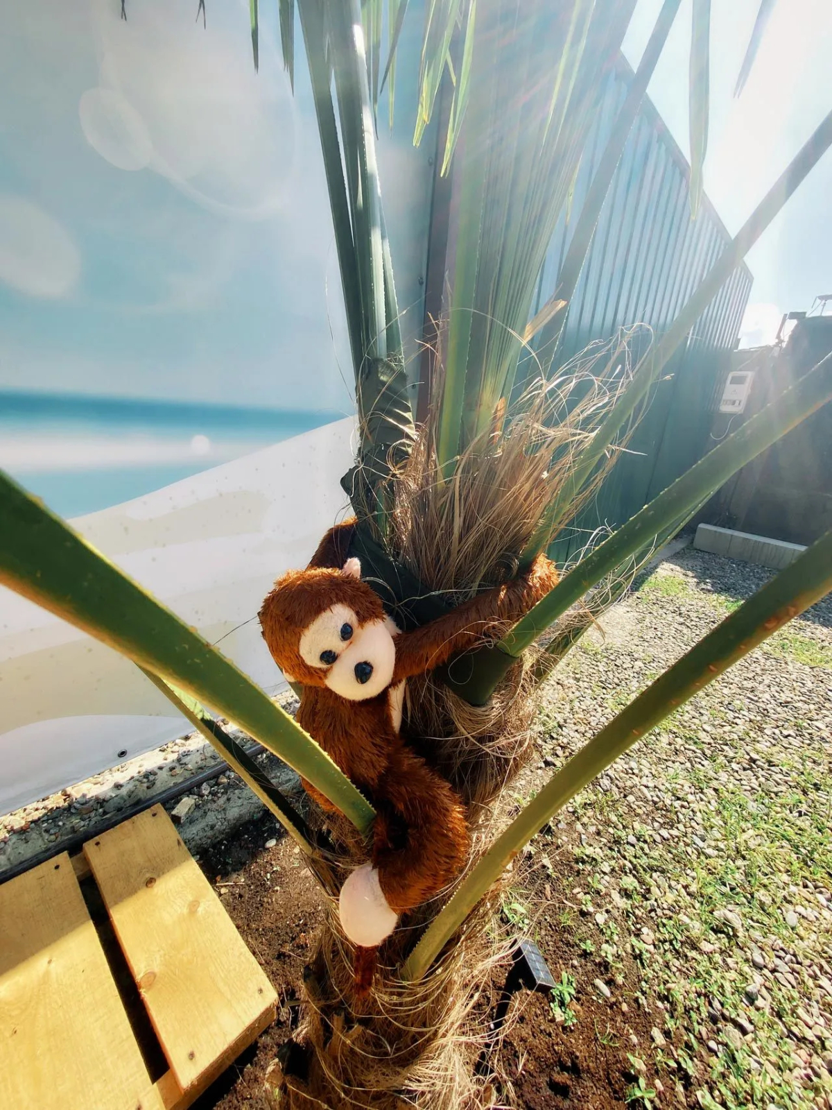 Гостевой дом Колибри