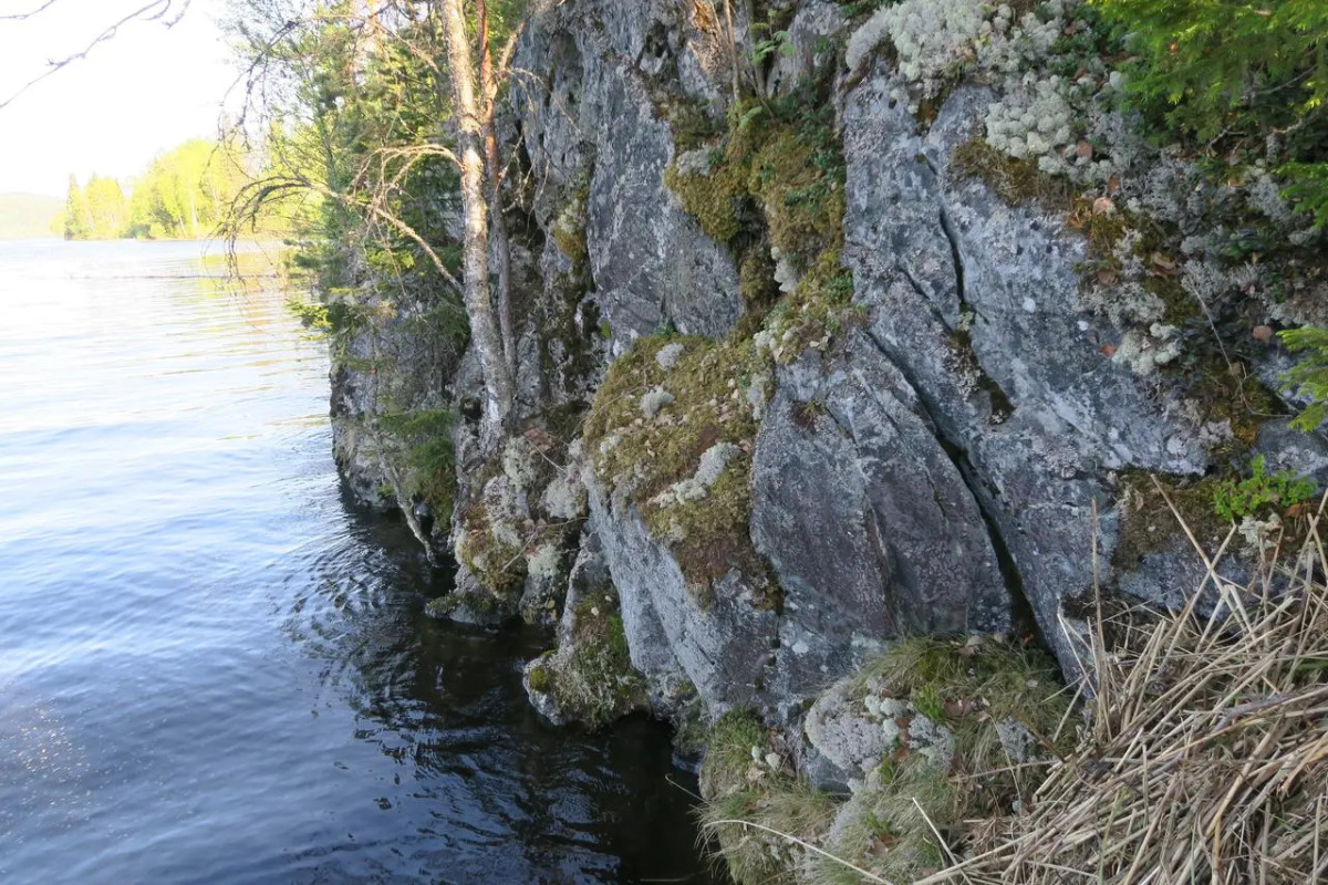 Гостевой дом 5 VILLANORDA