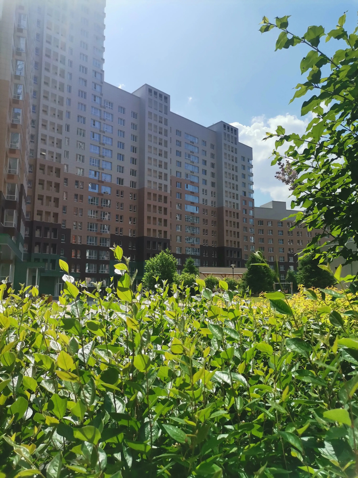 Квартира студия Галерея Рядом Новосибирск