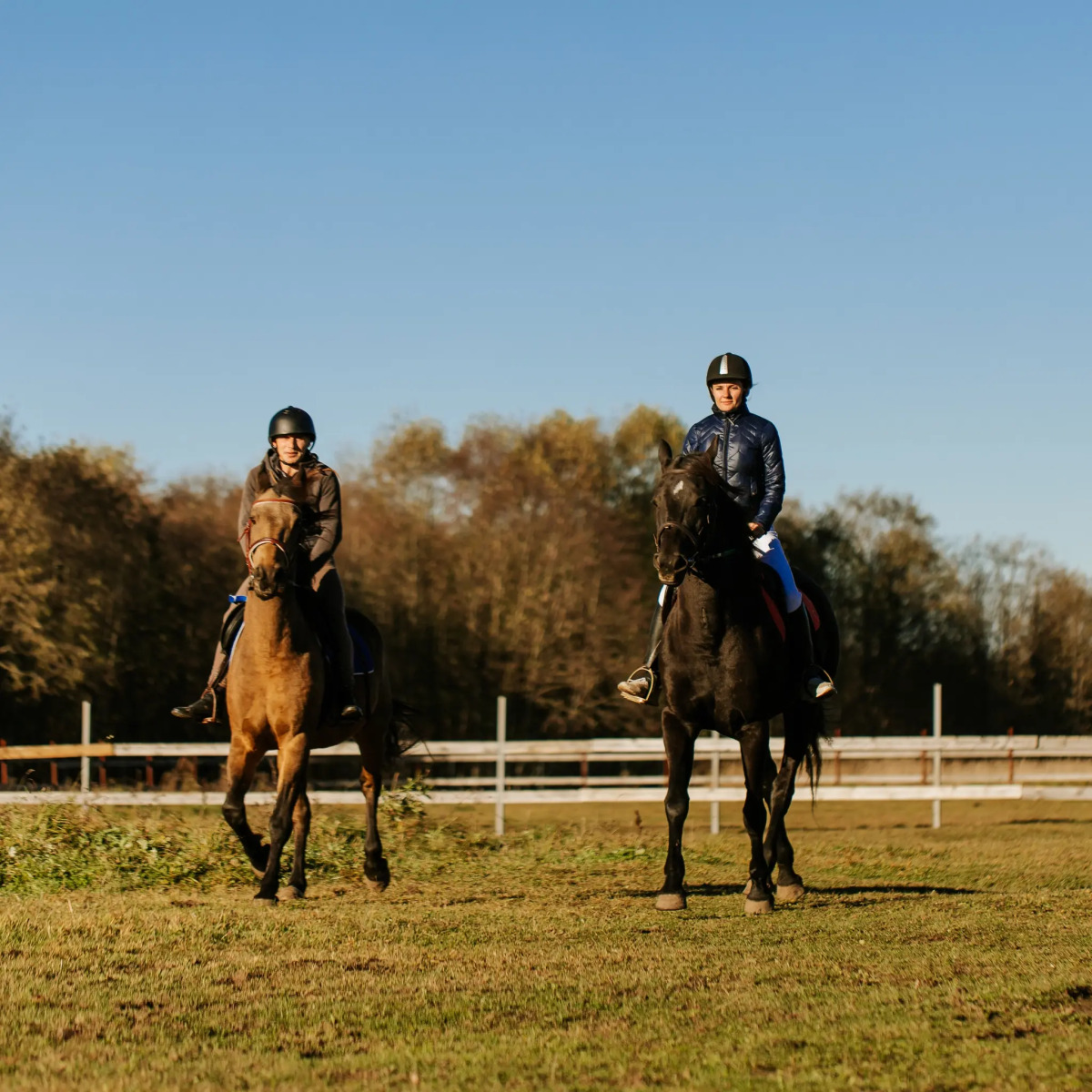 База отдыха Агротуристический комплекс Эль Ранчо