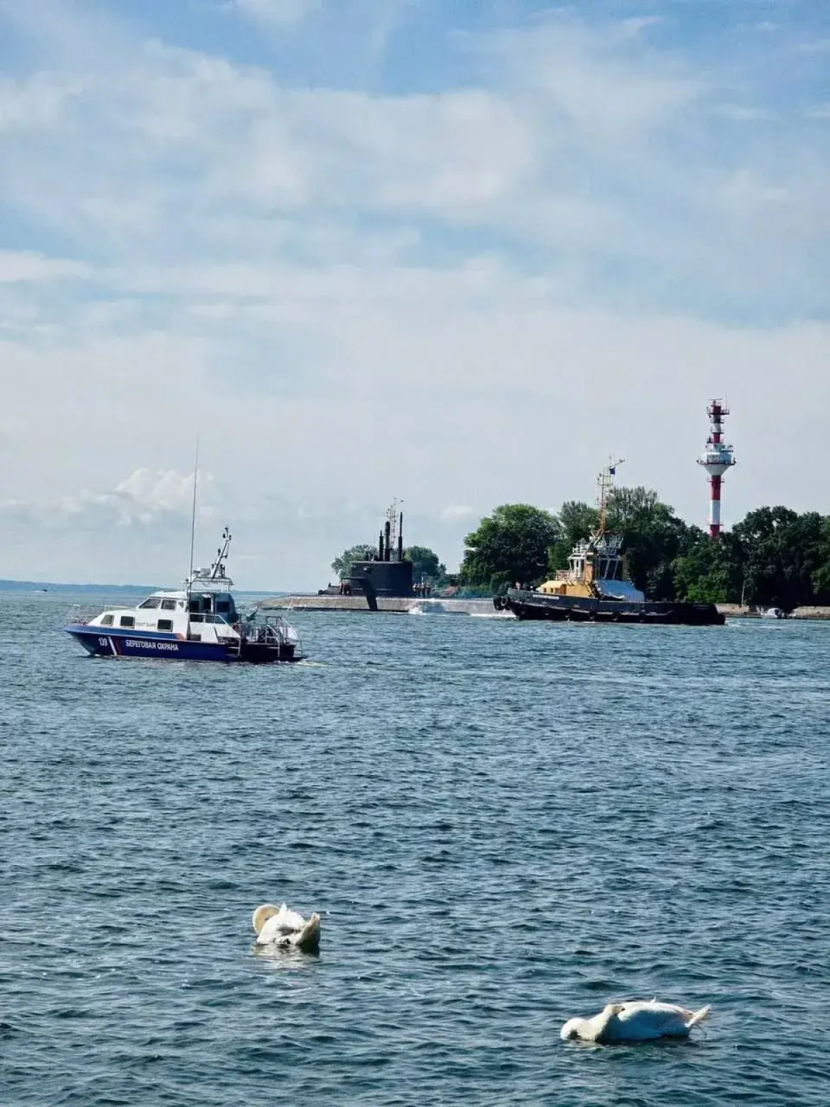 Апартаменты у моря Балтийский Бриз Делюкс