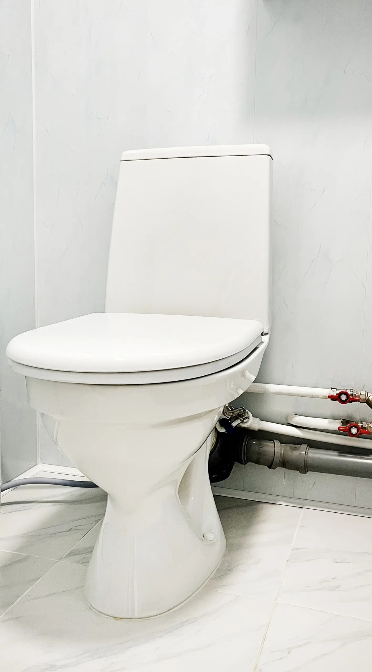 Апартаменты Династия