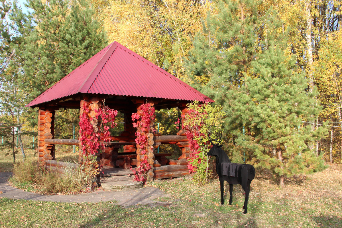 ЭКО Отель Настасьино Хуторок