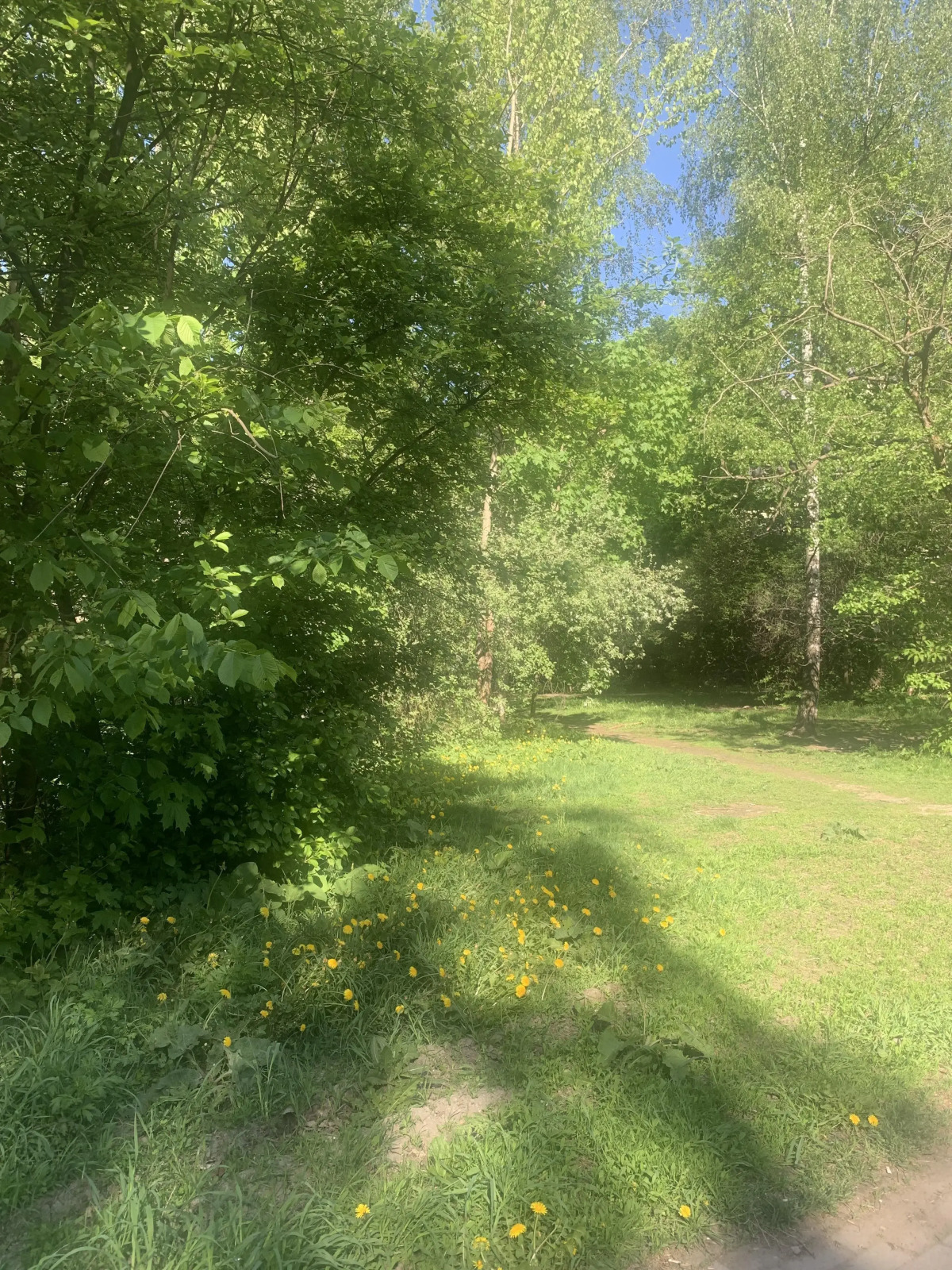 Квартира у Метро Ленинский