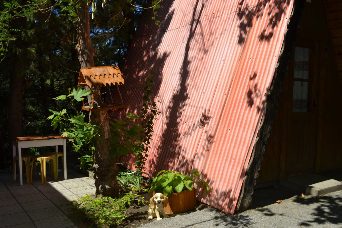 База Отдыха Солнечное