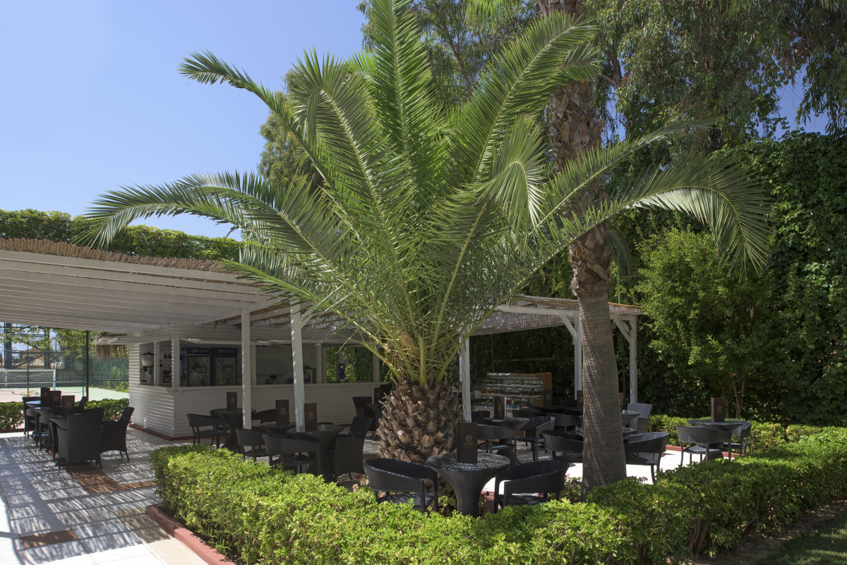 Delphin Deluxe Hotel - Ultra All Inclusive