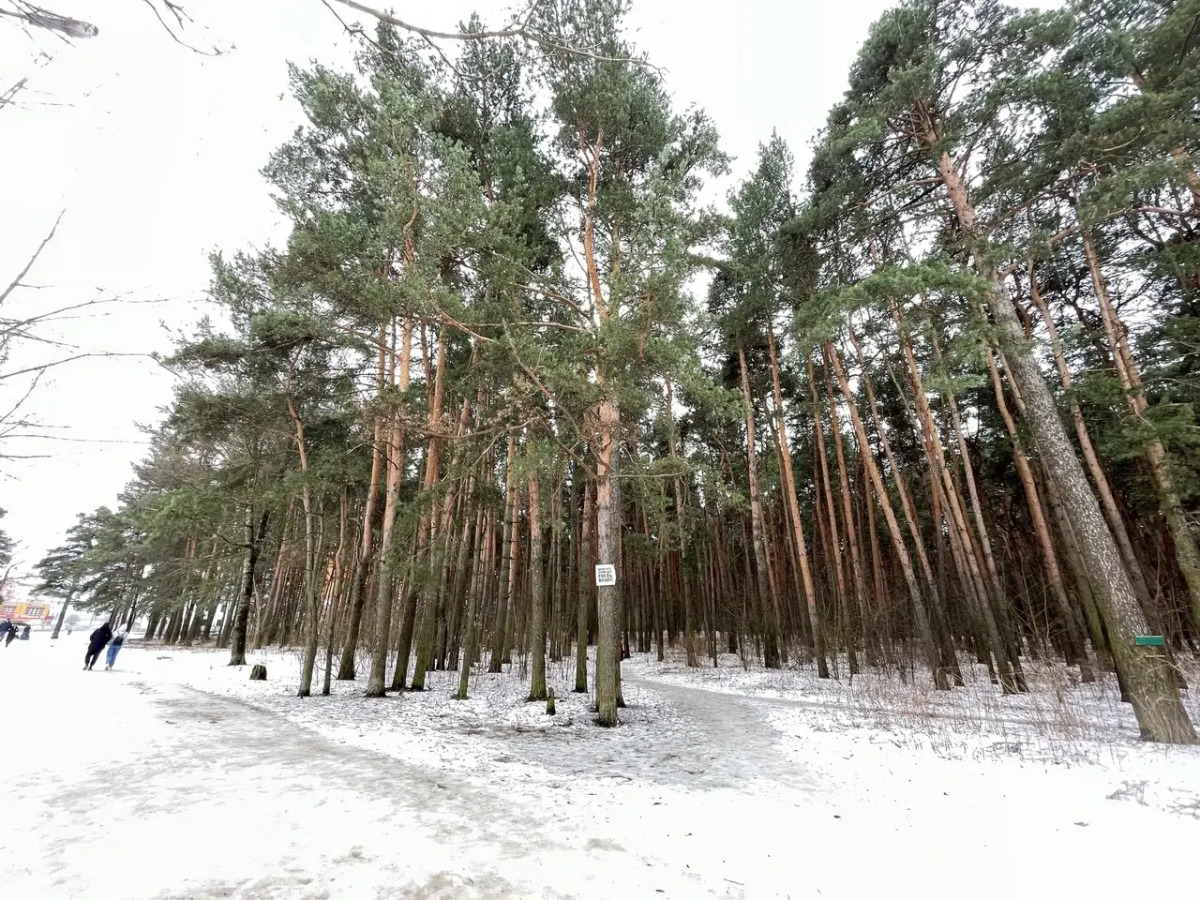 Апартаменты Студия с Диванчиком и Sony PlayStation 4