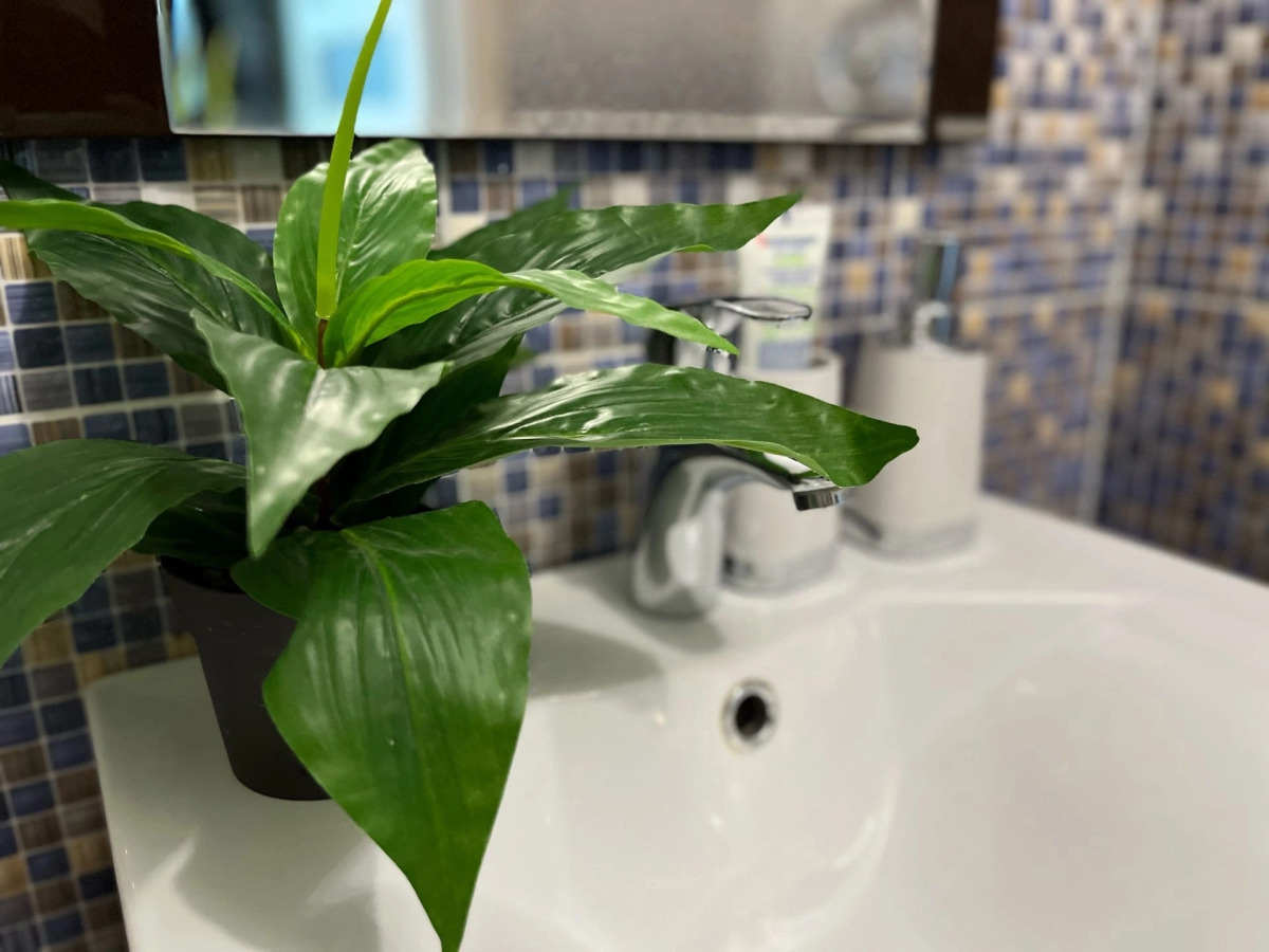 Апартаменты White Sea Чеснокова 5