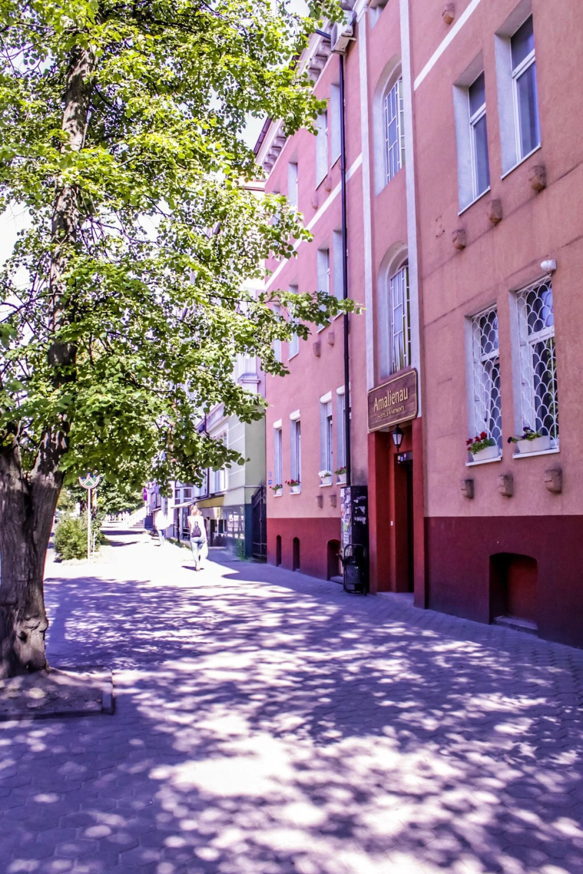 Хостел Амалиенау Хостел и Апартаменты