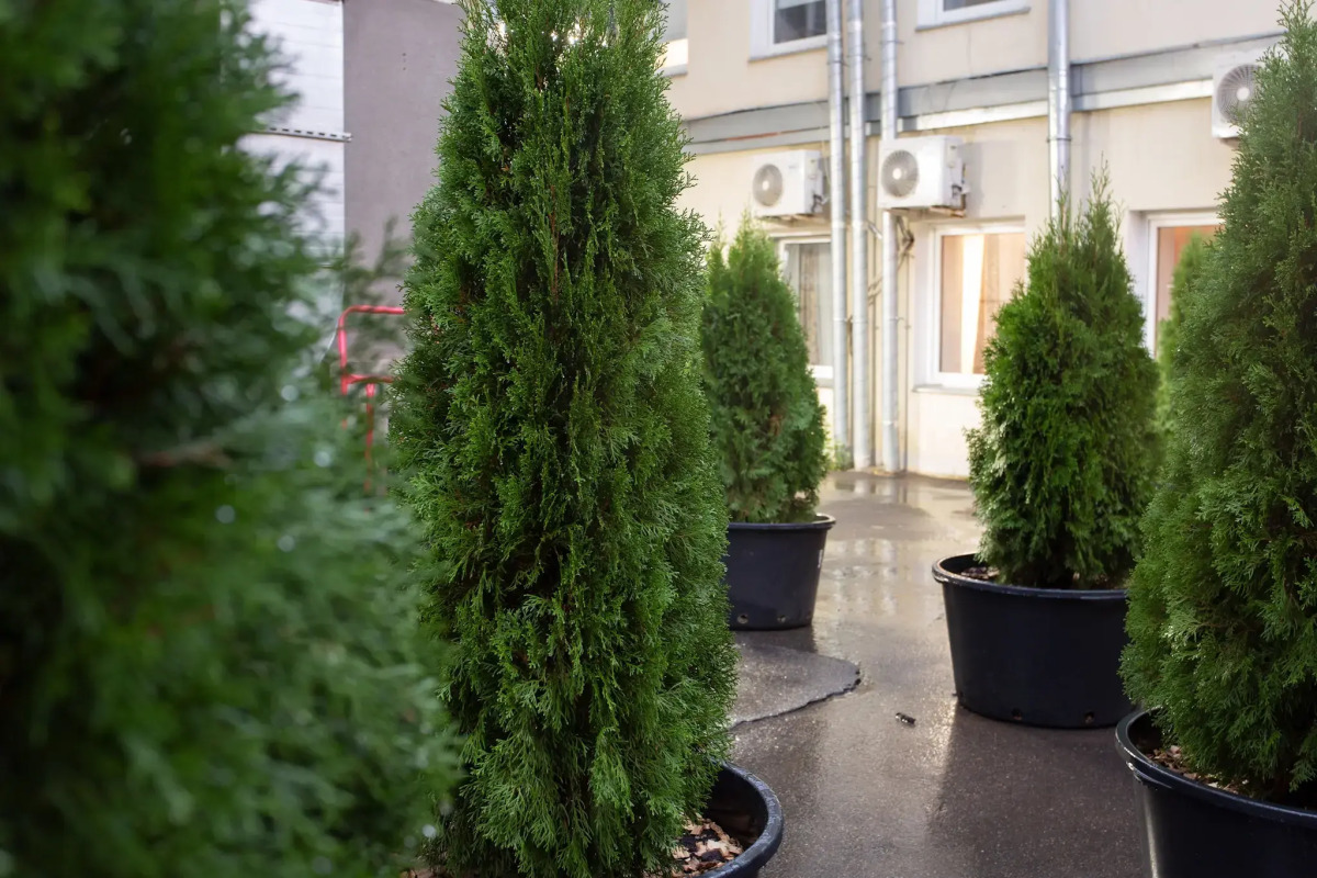 Апартаменты Loft в Cердце Москвы