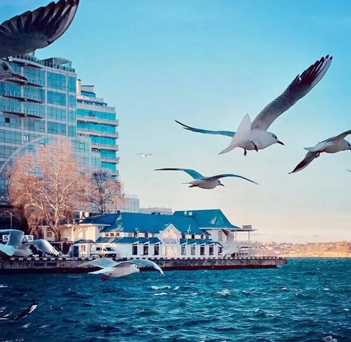 Хостел Артбухта