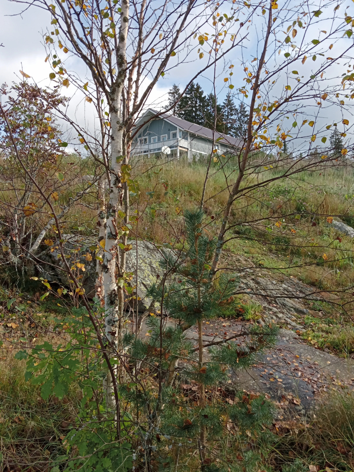 Гостевой дом Мункинмяки