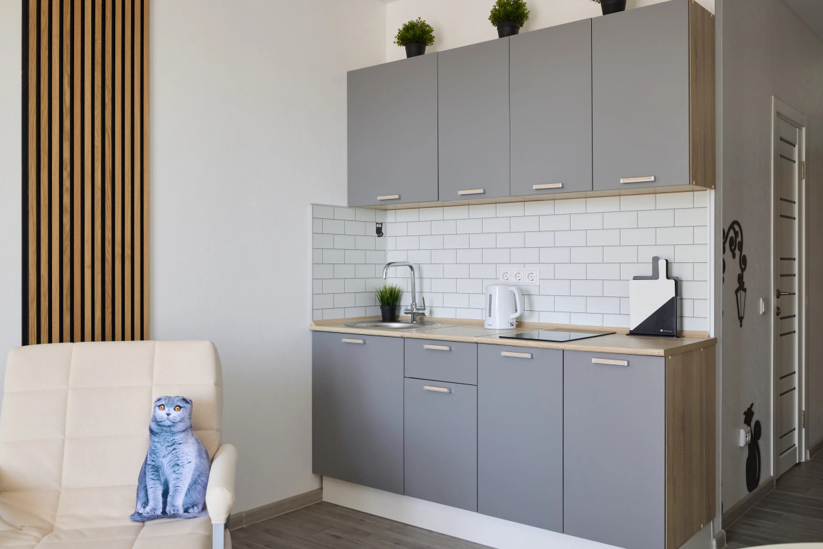 Апартаменты ONLY на Богатырском