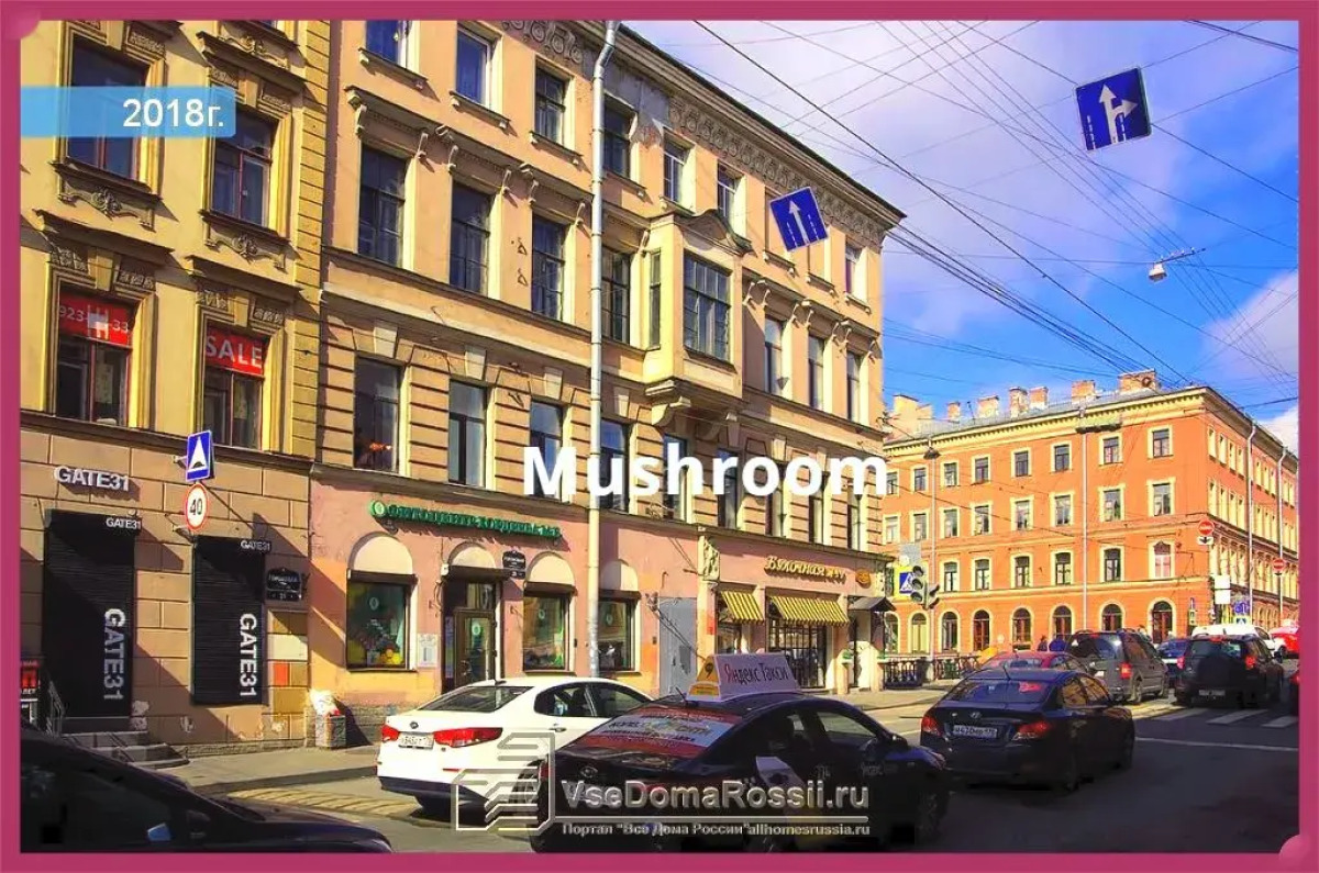 Mushroom24