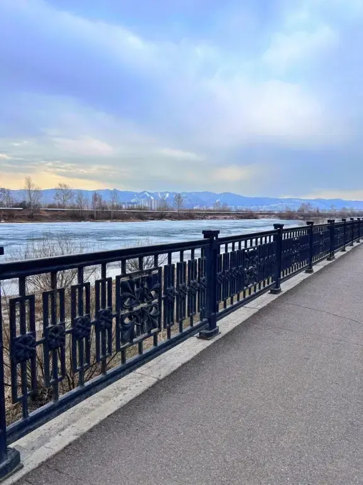 Апартаменты Дубровинского, 110б