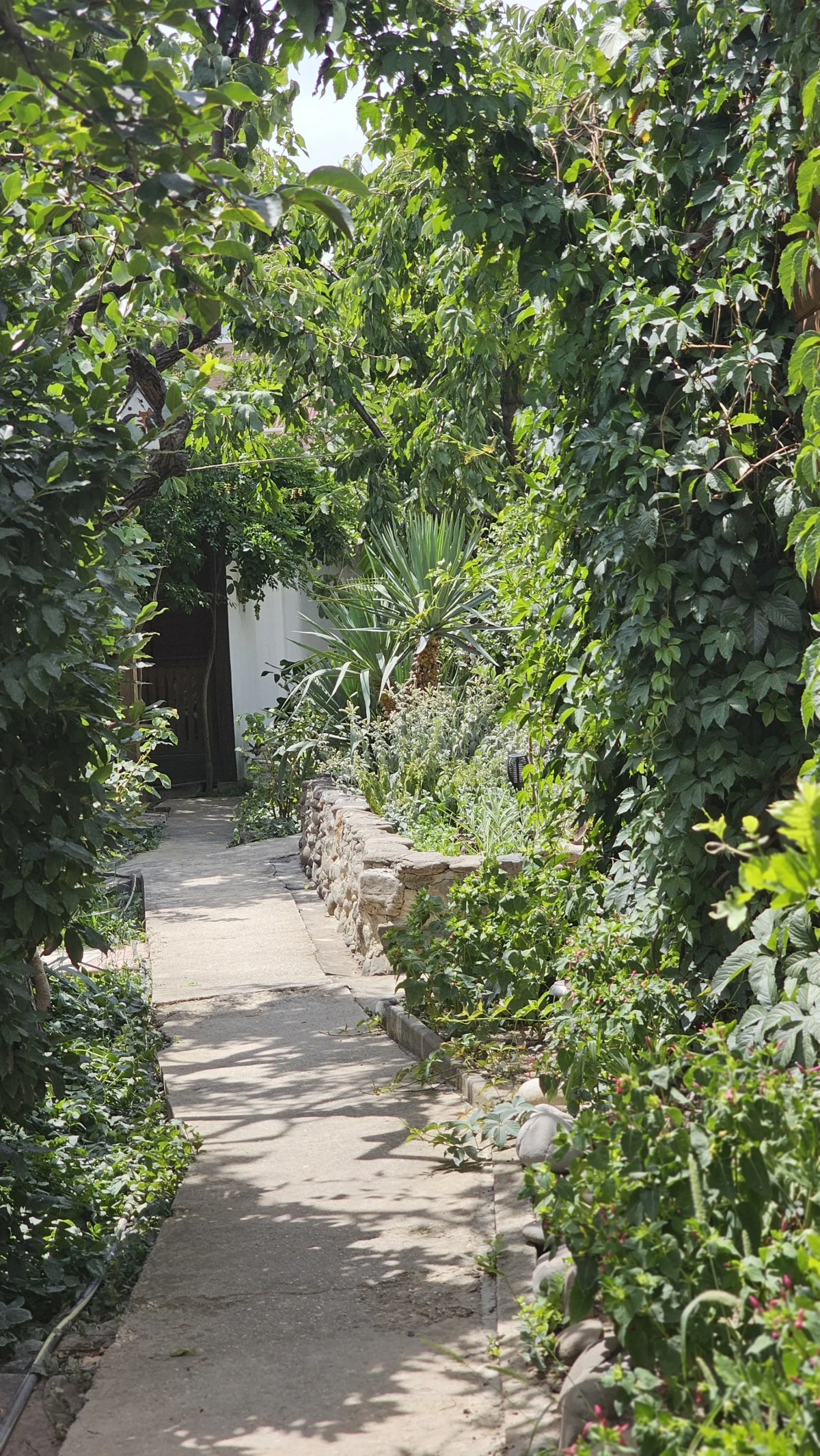 Гостевой Дом Янаки