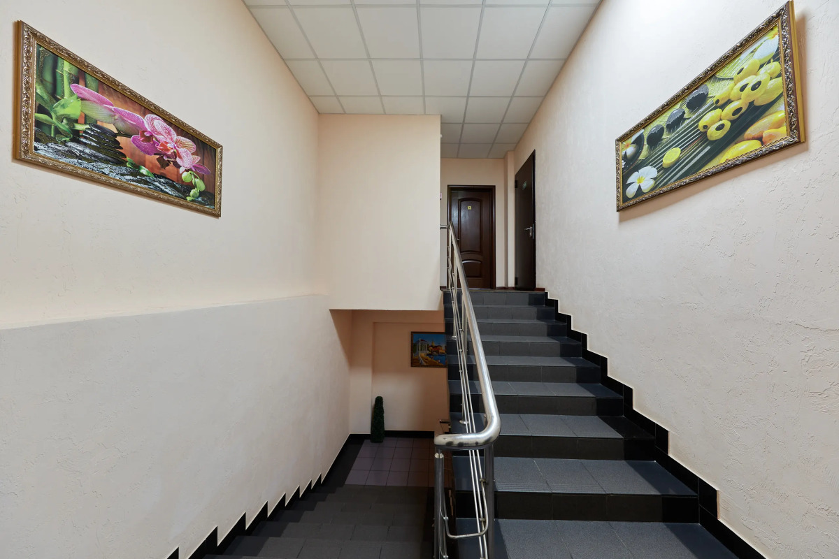 Автор Братиславская