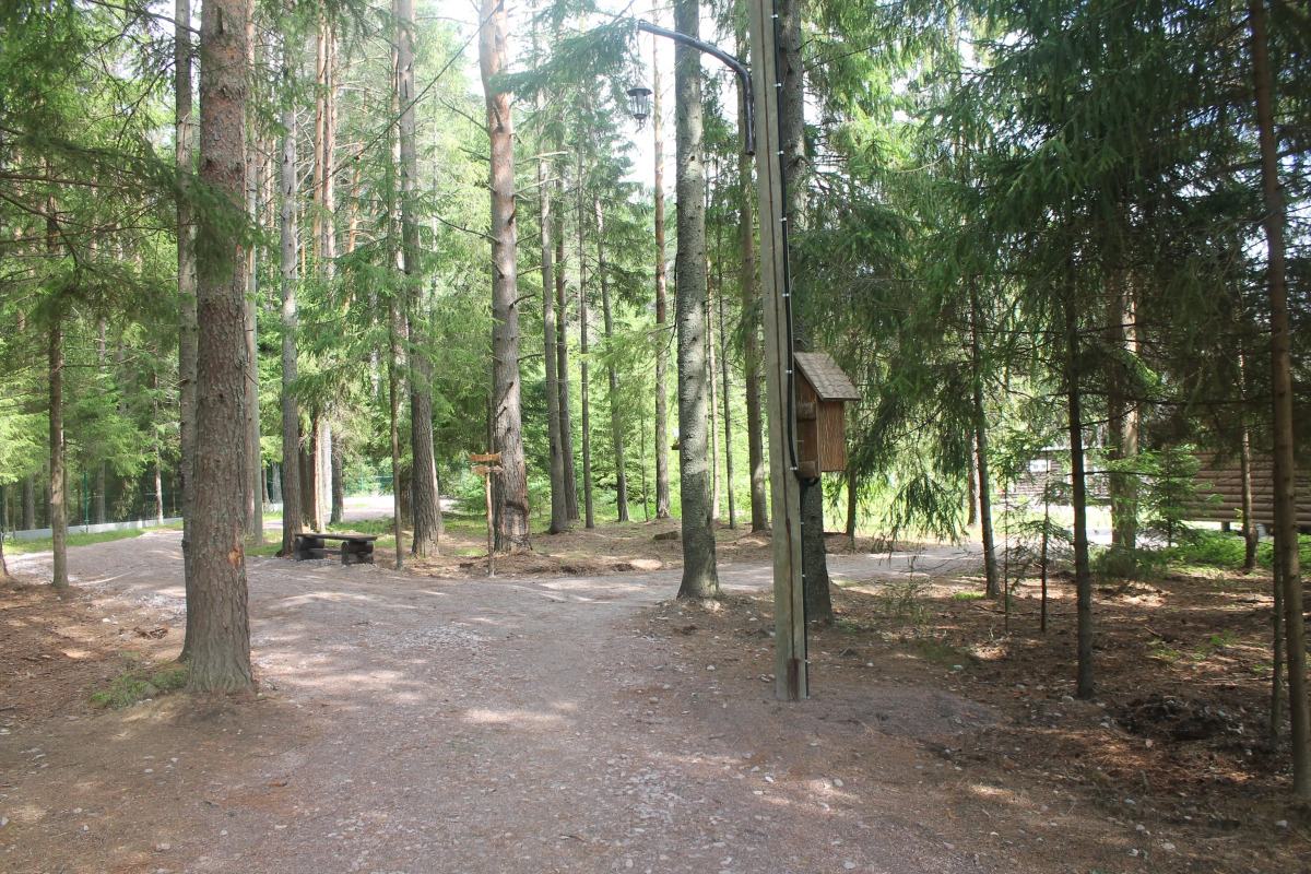 Гостевой Дом Алавойне