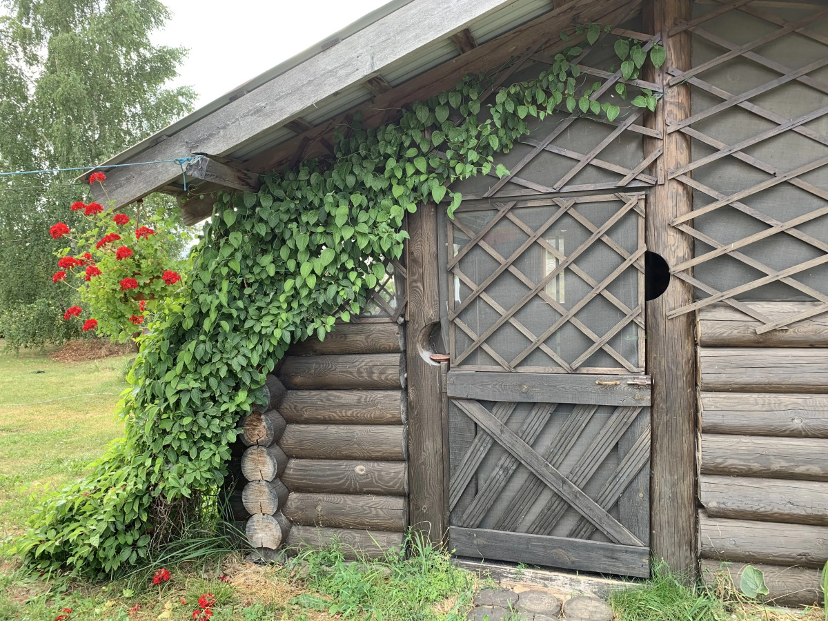 Гостевой дом Wooden house in Drakino