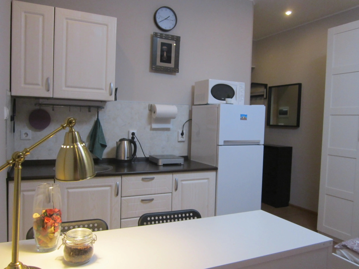 Апартаменты Настроение 1