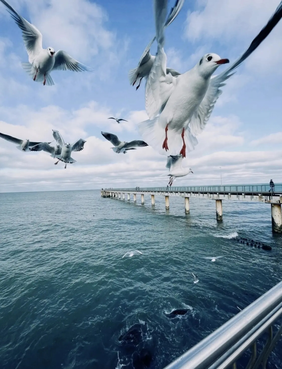 Квартира Море из окна