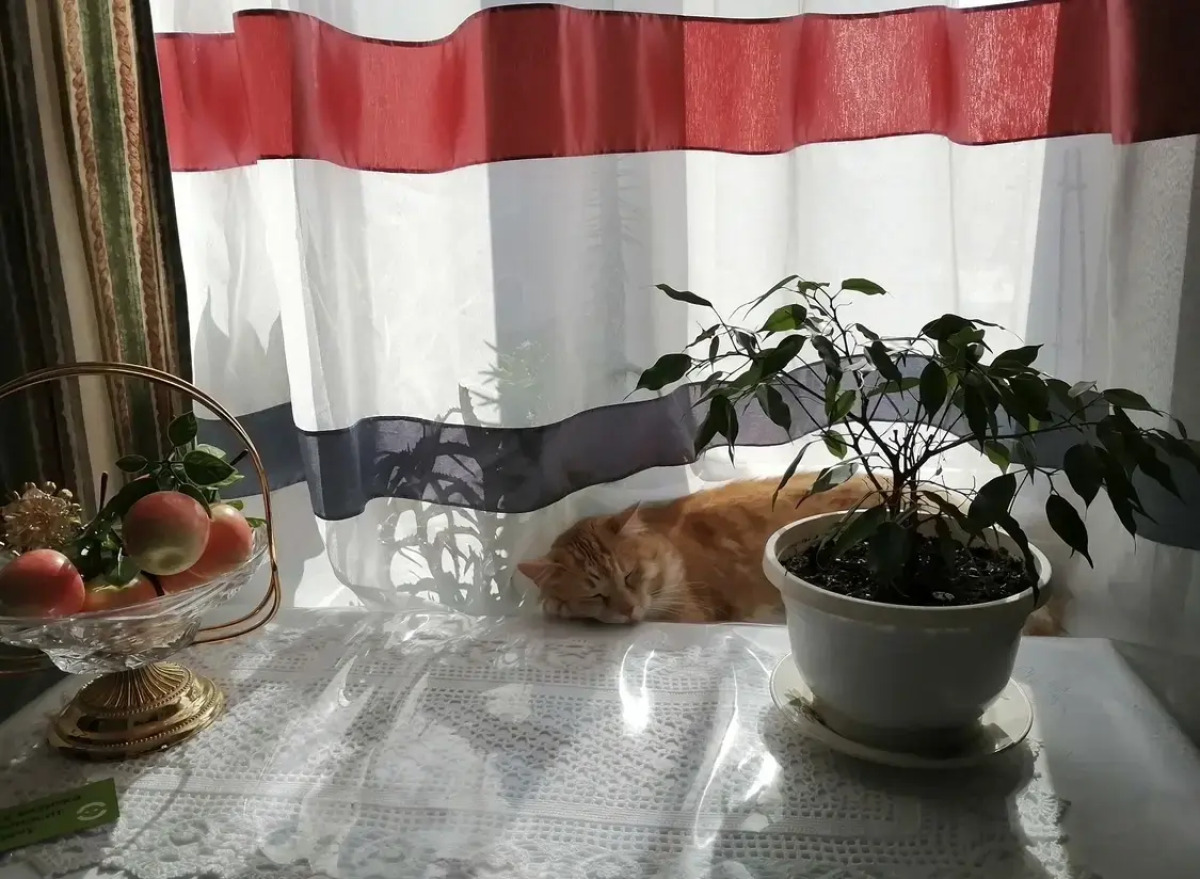 Квартира Море из окна