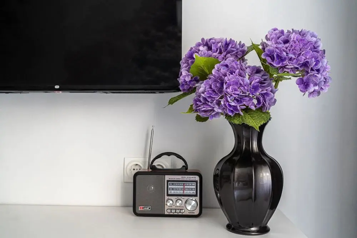 Апартаменты LaMansh Apartment