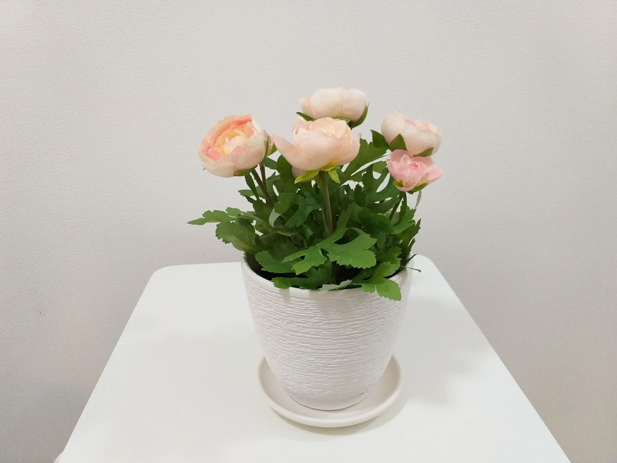 Апартаменты 101Апарт в центре у метро Московские ворота