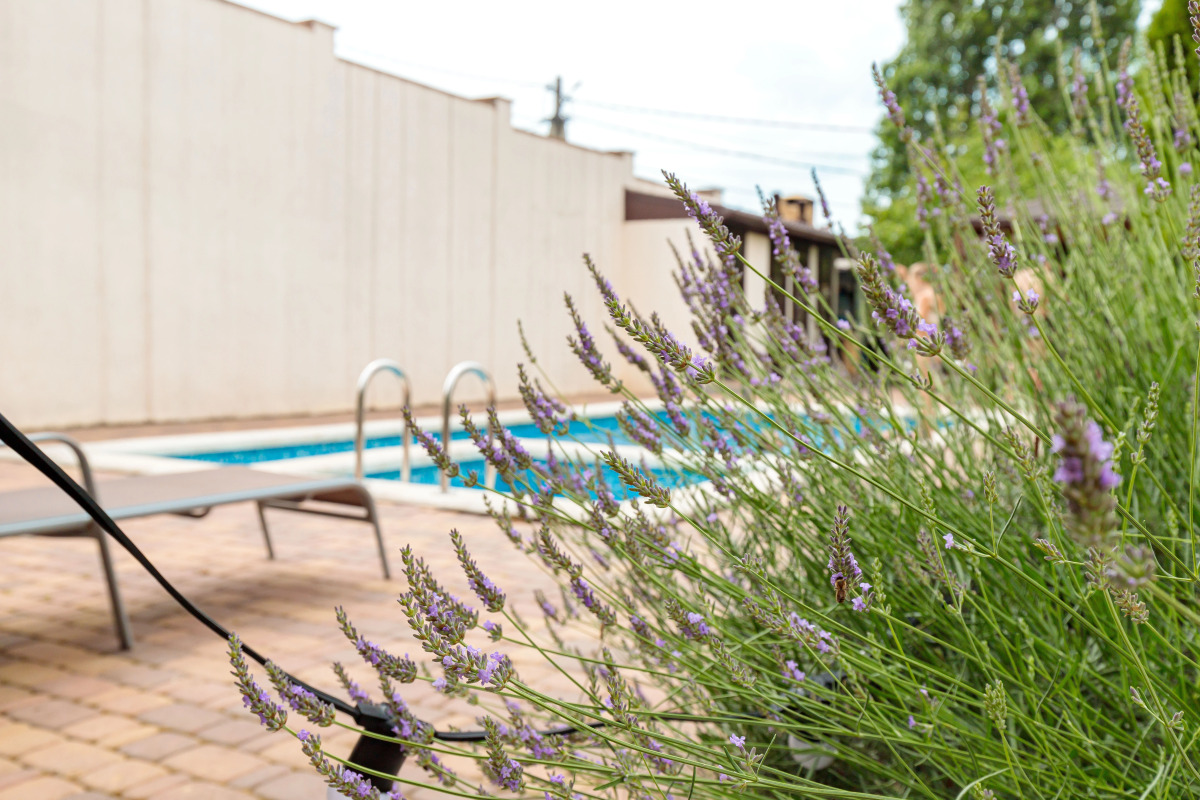 Гостевой дом Provence