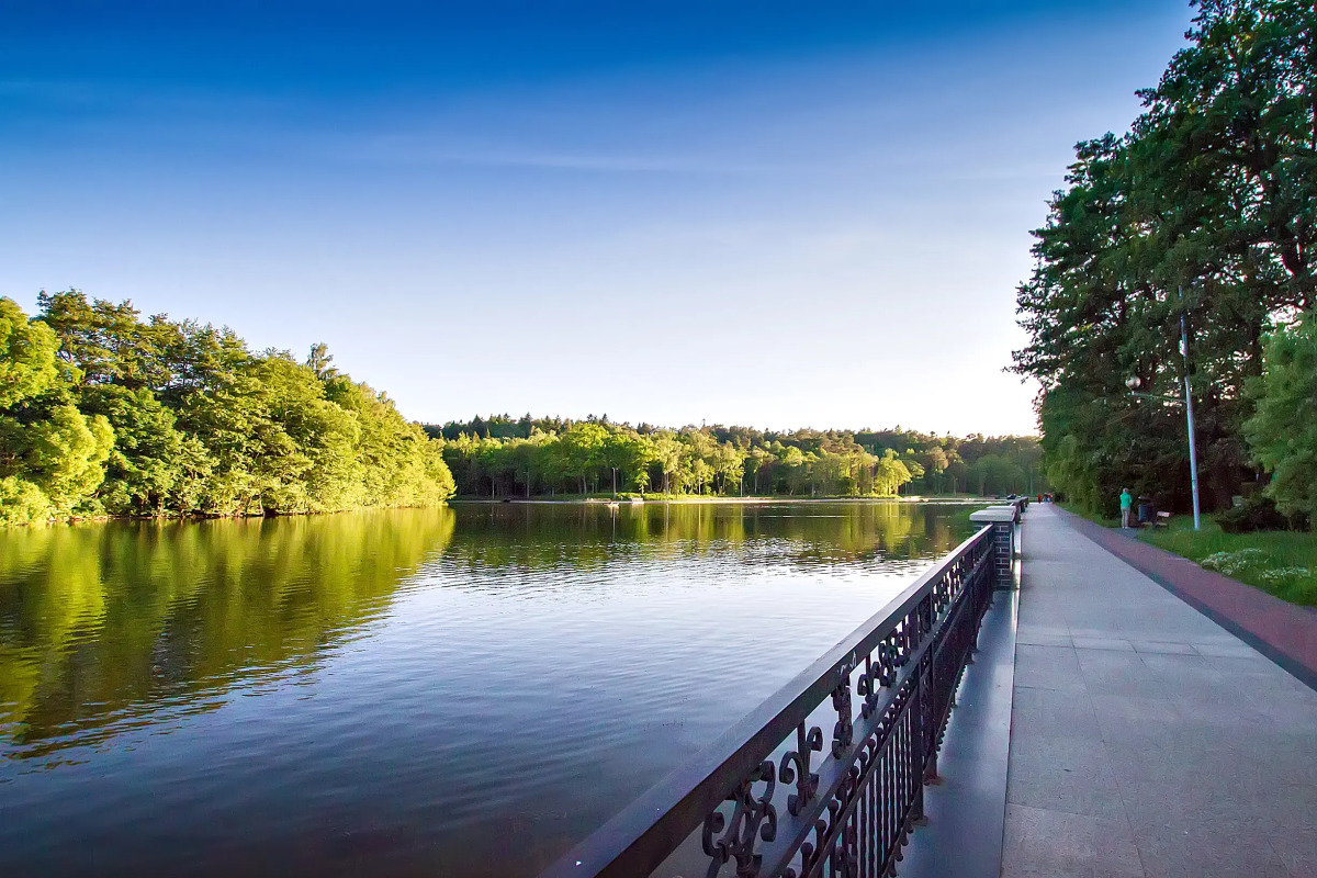 Квартира Фортуна