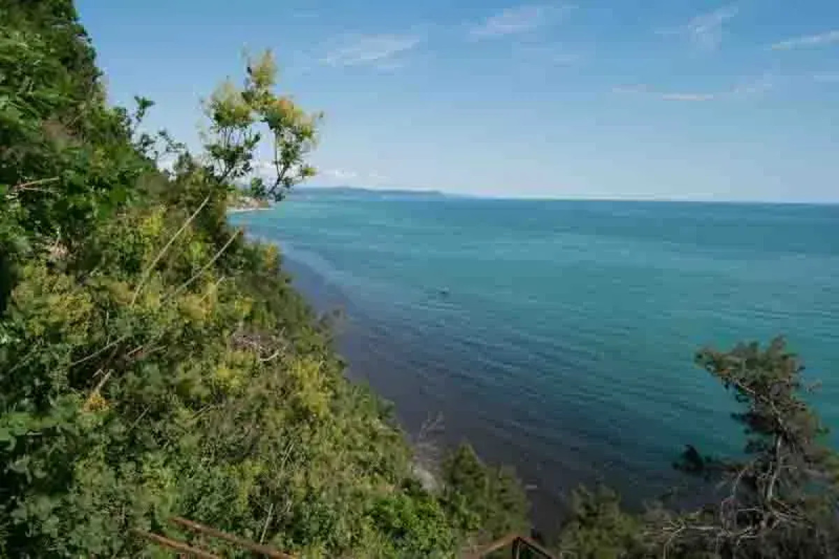 База Отдыха Парк Инал