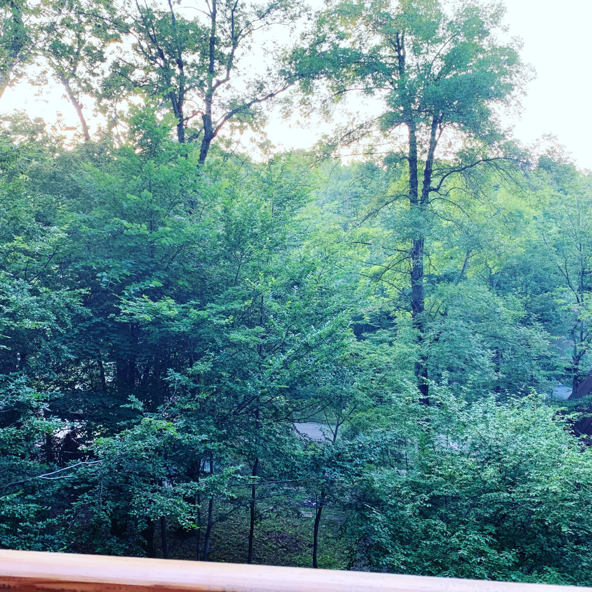 База отдыха Гостиничный комплекс Примула