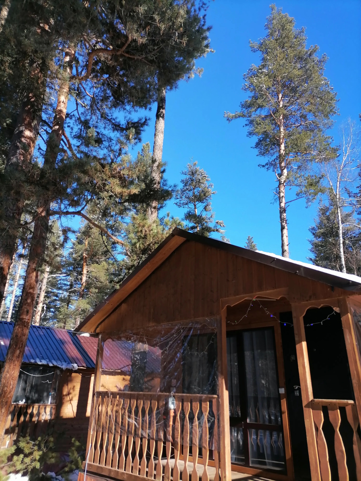 Шале Лес хрустальной песни 1