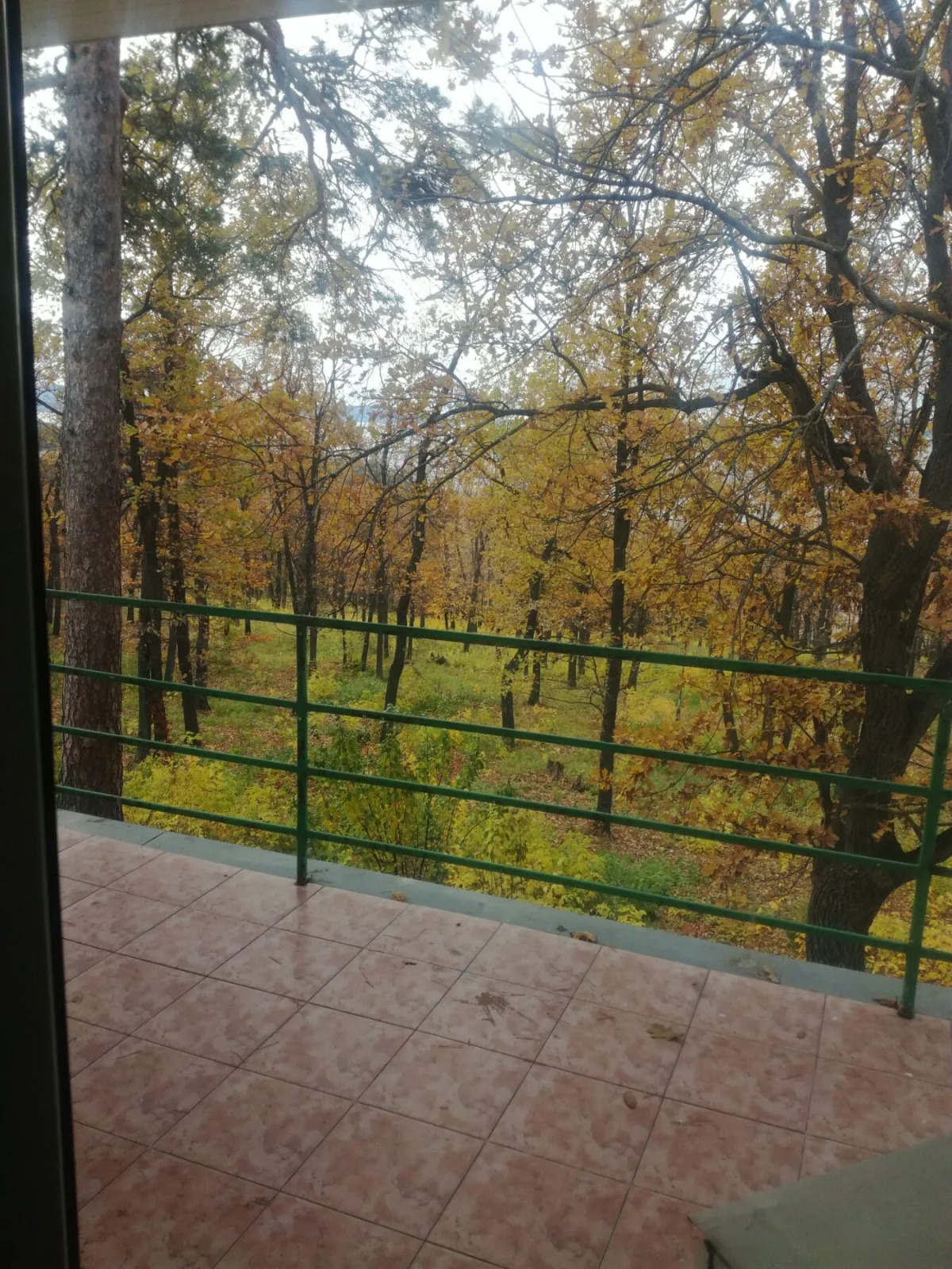 МУП Пансионат Звездный