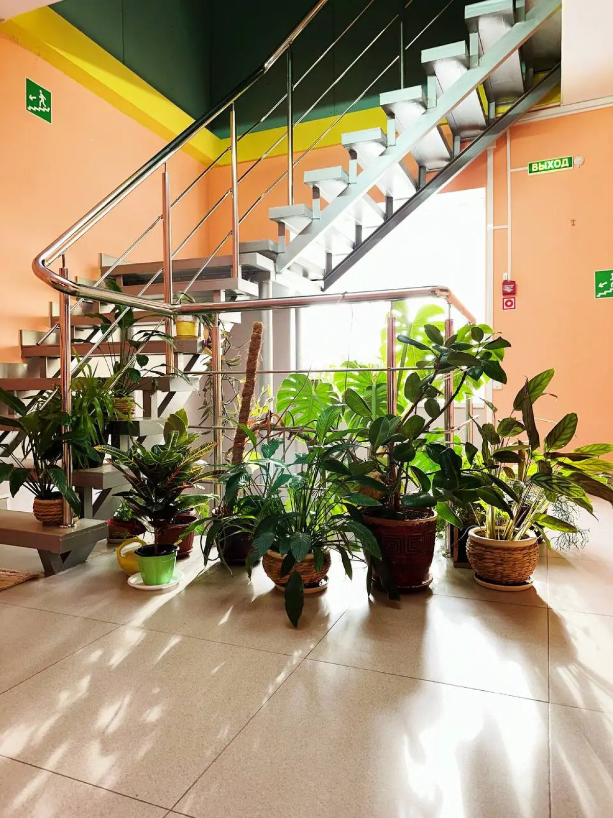 Гостиница Афоня