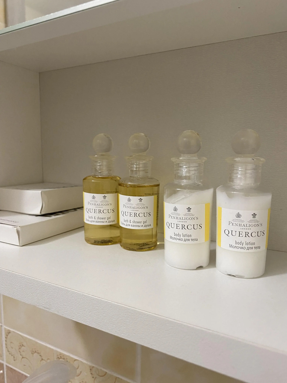 Аппартаменты в центре Калининграда