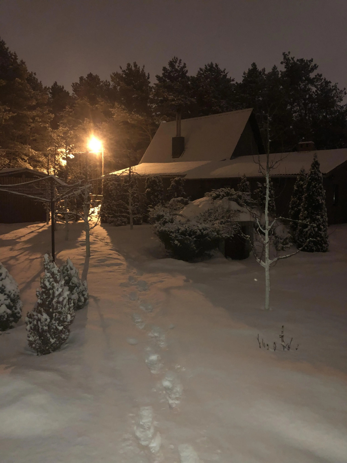 Гостевой дом и баня у Дмитрия