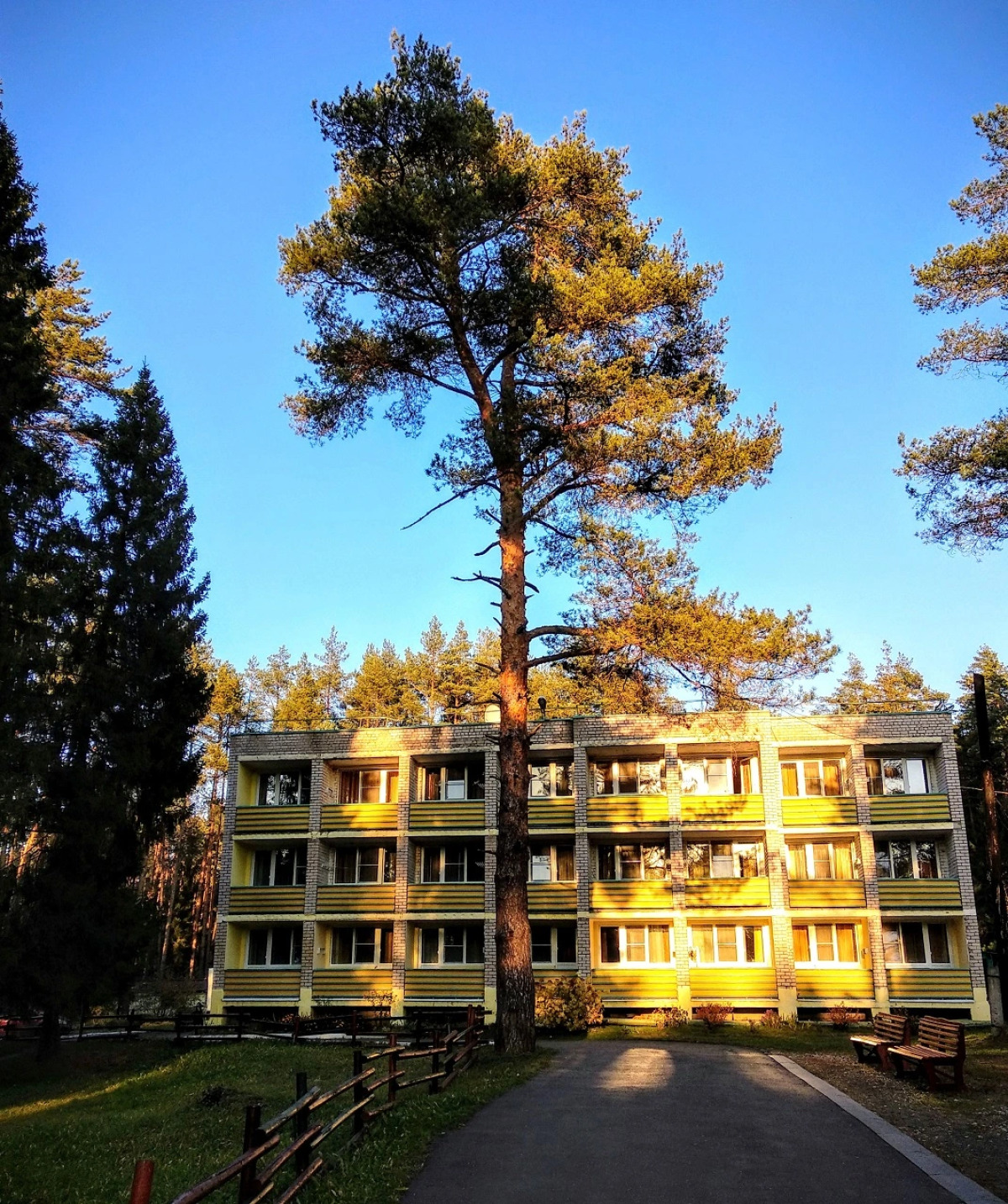 Санаторий Сосновый бор