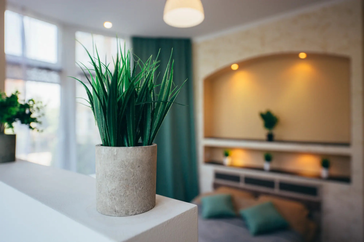 Апартаменты в 100 метрах от КОРОЛЕВСКИХ ВОРОТ КЁНИГСБЕРГА.