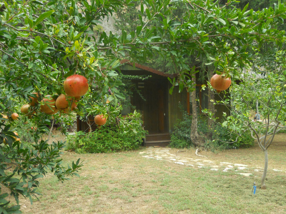 Kibala Hotel 