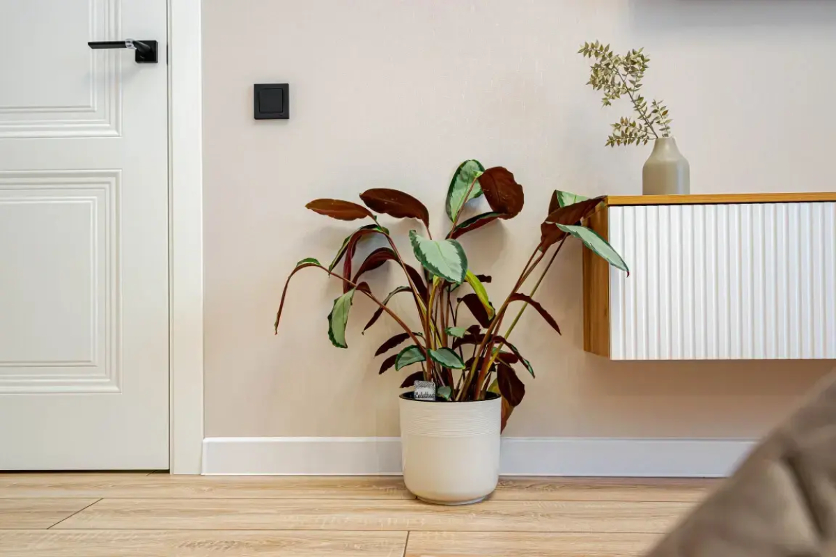 Апартаменты Cosmos Apart в ЖК бизнес-класса (4) на Островского