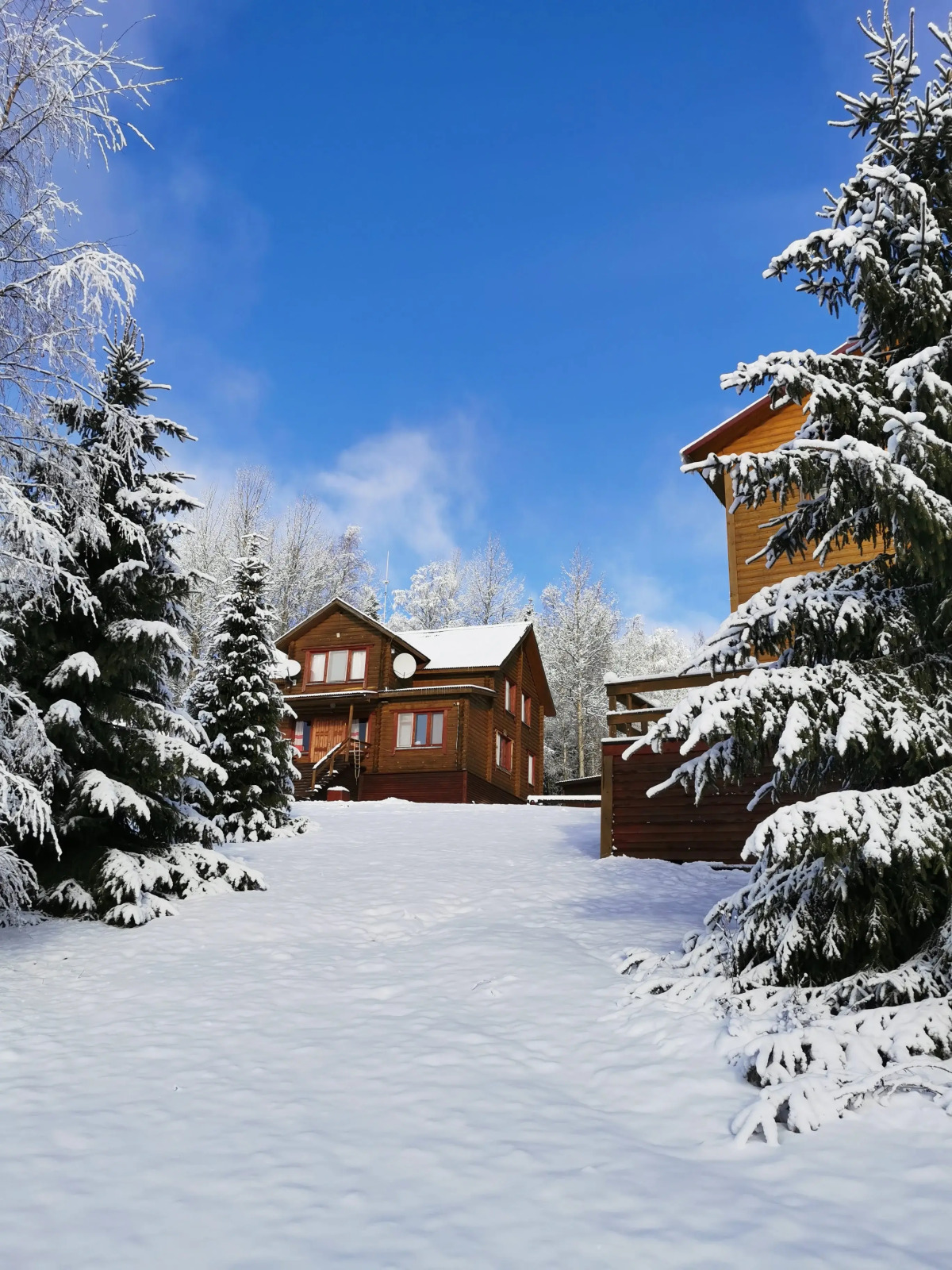 База Отдыха Лесное Озеро