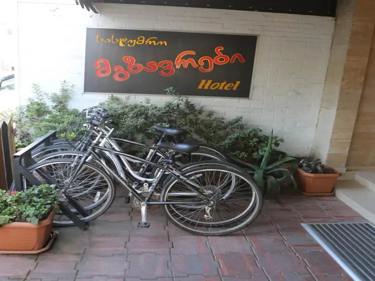 Отель Mgzavrebi