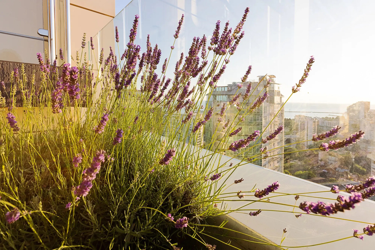 Апартаменты с балконом в ЖК Метрополь