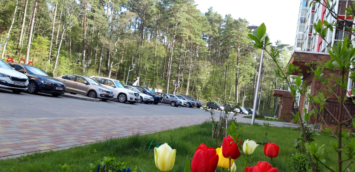 Апартаменты Синяя Птица